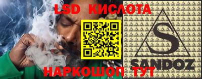 прущие грибы Ирбит
