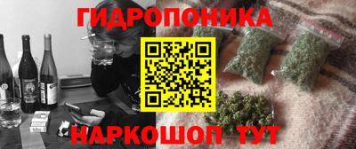 прущие грибы Ирбит