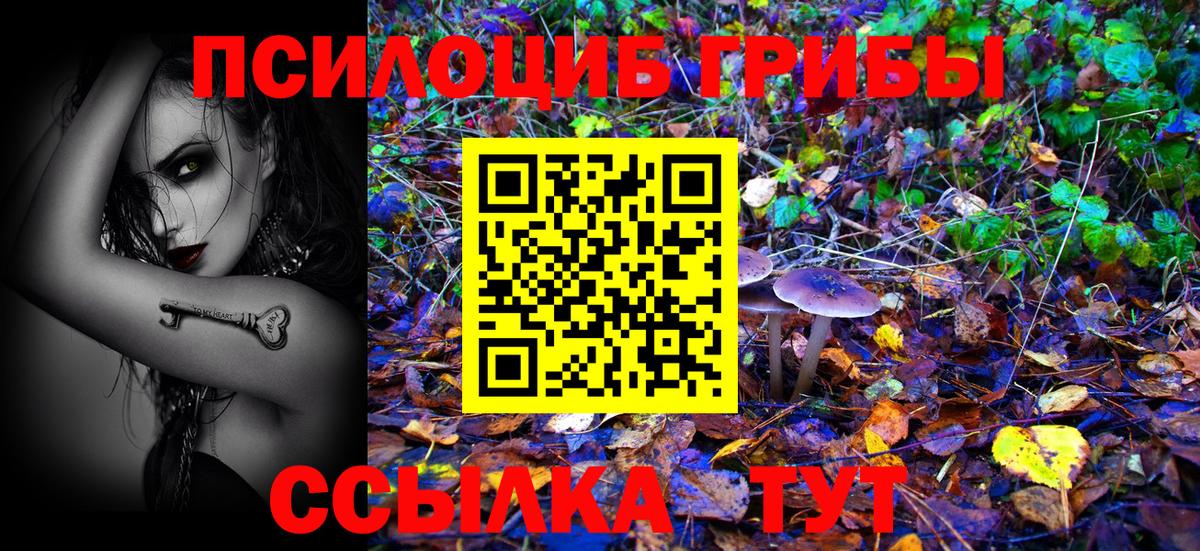 Псилоцибиновые грибы Magic Shrooms Люберцы